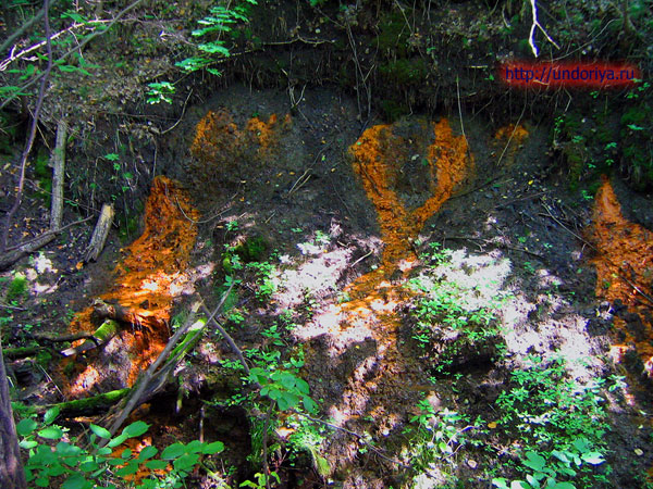 Минеральный источник в "диком" виде на склоне оврага в районе Ундор